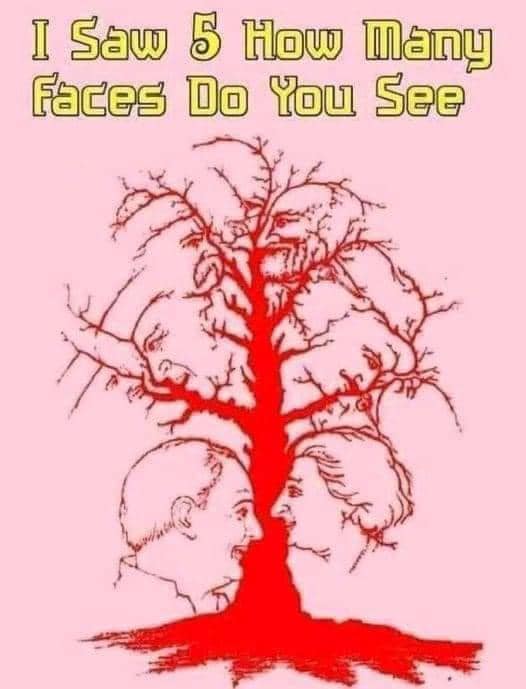 Everyone can see the first two faces in this illusion…