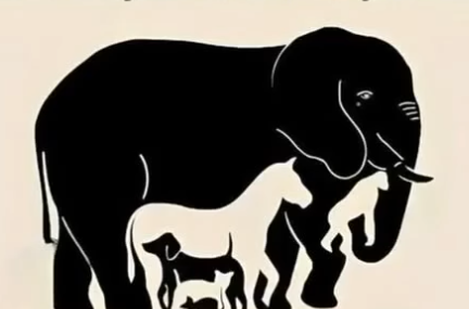Can You Spot All the Hidden Animals in This Image