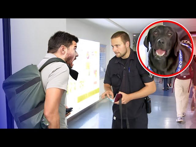 Sniffer Dog Won’t Back Down: Is This Passenger Hiding Dr*gs?